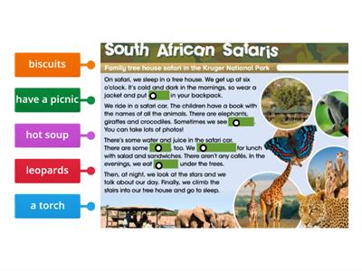 South African Safaris