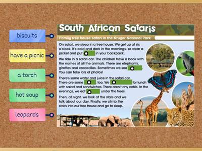 South African Safaris