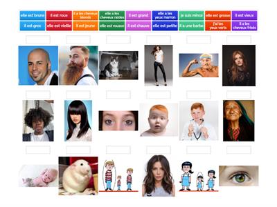 La description physique