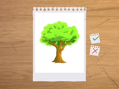 FUN FOR STARTER-UNIT 4: RED, BLUE AND YELLOW