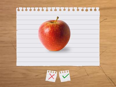 Singular und Plural - Wie heißt das?