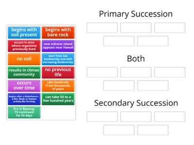 Primary vs Secondary Succession