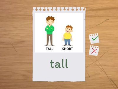 Зовнішність