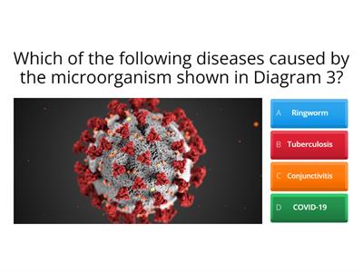 MICROORGANISMS QUIZ (YEAR 6) 