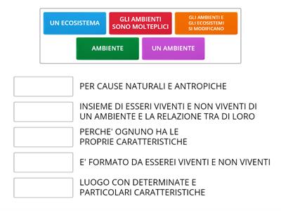 GLI AMBIENTI E GLI ECOSISTEMI (COLLEGA)