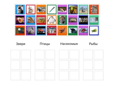 окружающий мир