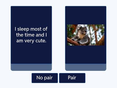 GUESS WHO - Australian animals