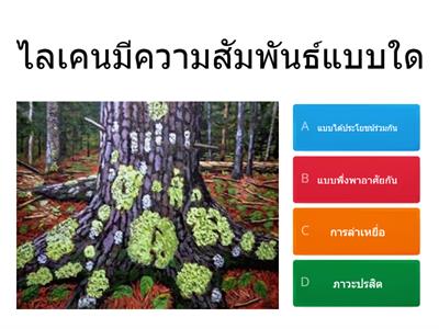 ป.5 ความสัมพันธ์ของสิ่งมีชีวิต