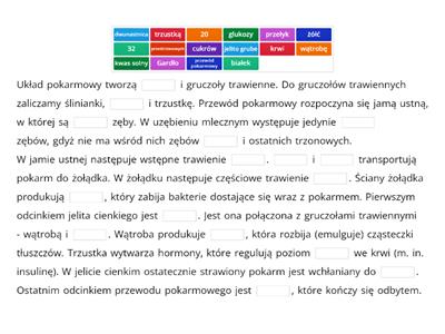 układ pokarmowy