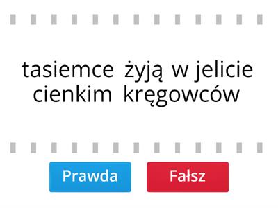 Płazińce - prawda czy fałsz?