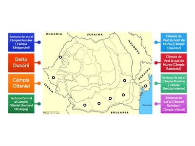 Unitățile de câmpie ale României și diviziuni ale acestora