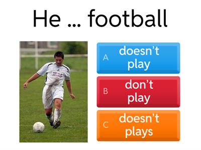 Present Simple Do/does