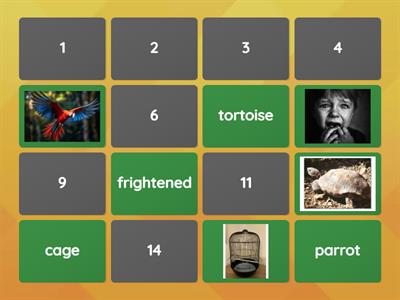 vocabulary challenge