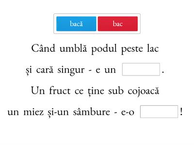 Când paronimele preferă rimele (B-D)