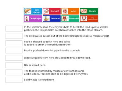 Digestion: match up