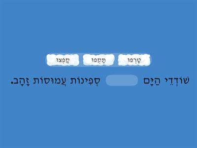 שודדי ים - השלמת משפטים