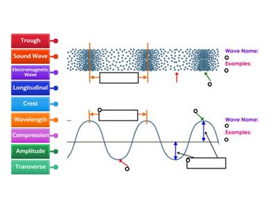 Label Parts of Waves