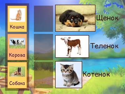 Мамы и малыши