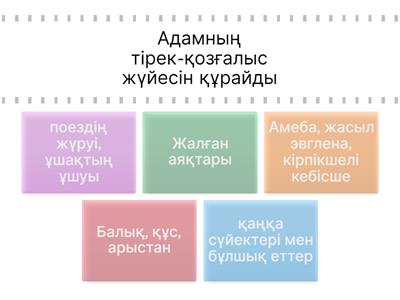 Одессадағы құрылыс алаңындағы секс (бейне)