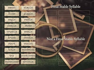 Unit 13 Final Stable Syllable Practice Sort