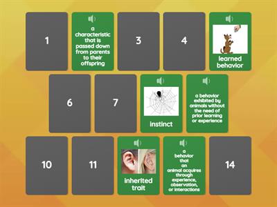 Adaptations, Traits, and Behaviors 