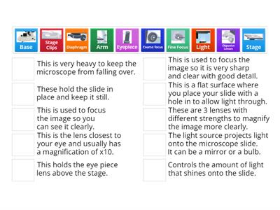 S1 Cells Function of microscope parts