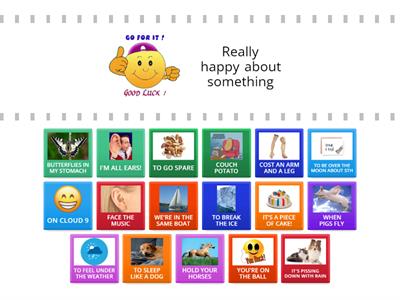 IDIOMS for my Advanced Learners (11-12 year-olds