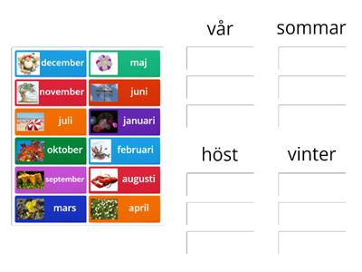 Sortera i grupper2 månader och årstider