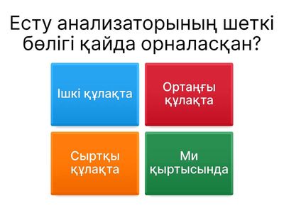 Анатомия