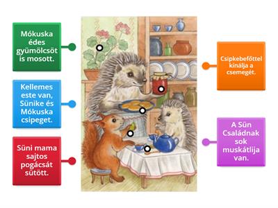 Sün Család - S-CS differenciálás mondatokban