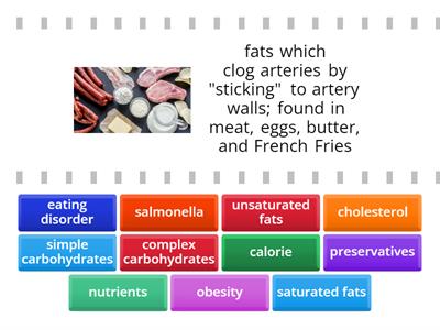 6th Grade Science Quiz