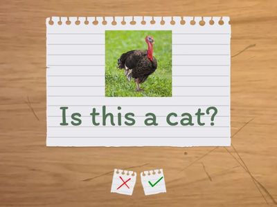 Farm animals (+ negative form)