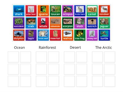 World Habitats Sorting Game