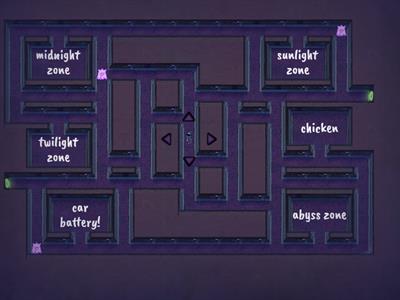 run run run ocean guy