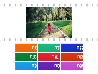 דנה והחיה