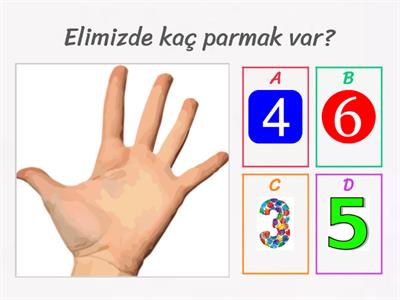 okul öncesi matematik