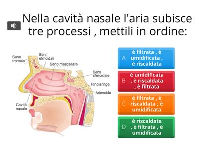 gioco sulla respirzione