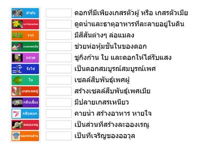 ส่วนประกอบของพืชดอก