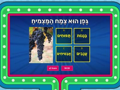 חִידוֹן הַשּׁוּעָל וְהָעֲנָבִים