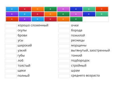  What do they look like?