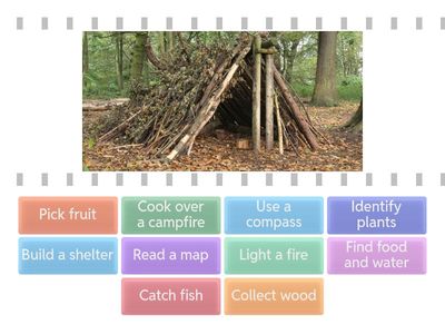 Unit 9: Vocabulary 1