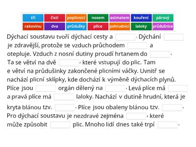 Dýchací soustava - charakteristika