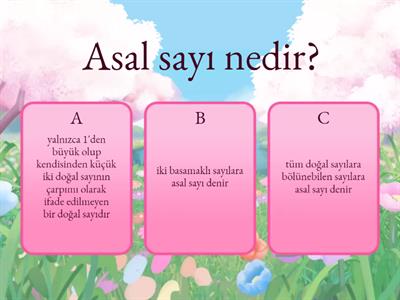 6. sınıf asal sayılar testi