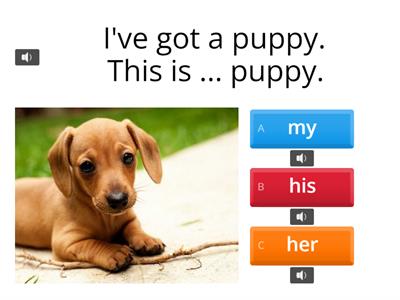 Possessive Adjectives [audio included]