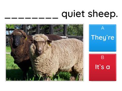 They`re noisy chickens (beehive1_farm animals)