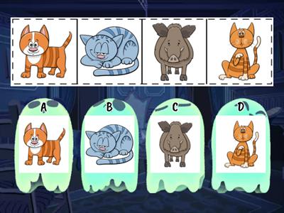 Що зайве? Увага, розвиток мовлення