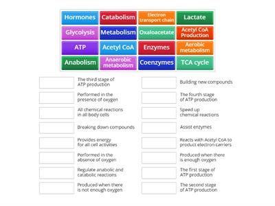 Intro to Metabolism 