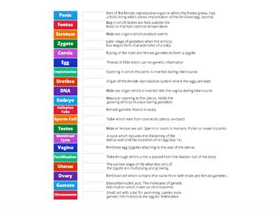 Matching Game Human Reproduction