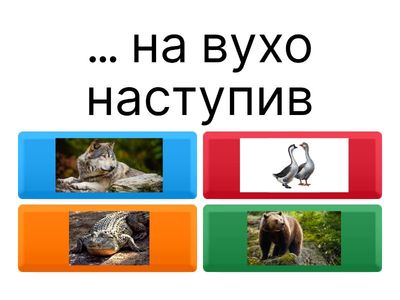 Фразеологізми