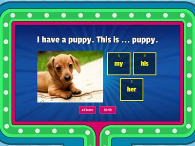 Team together 2 Lesson 2.3 Possessive Adjectives